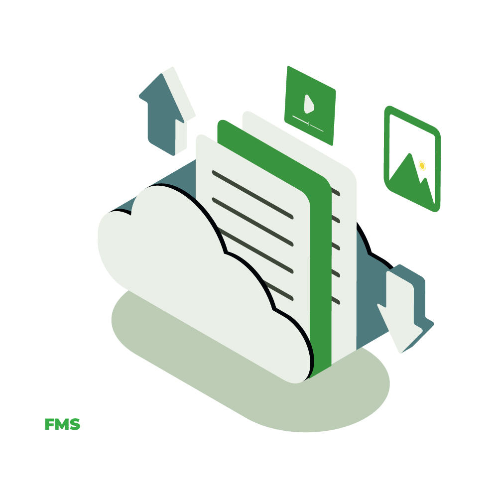 SaaS -Bronze- FMS With 2 Mbps