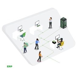 SaaS ERP Bronze- with 2 Mbps